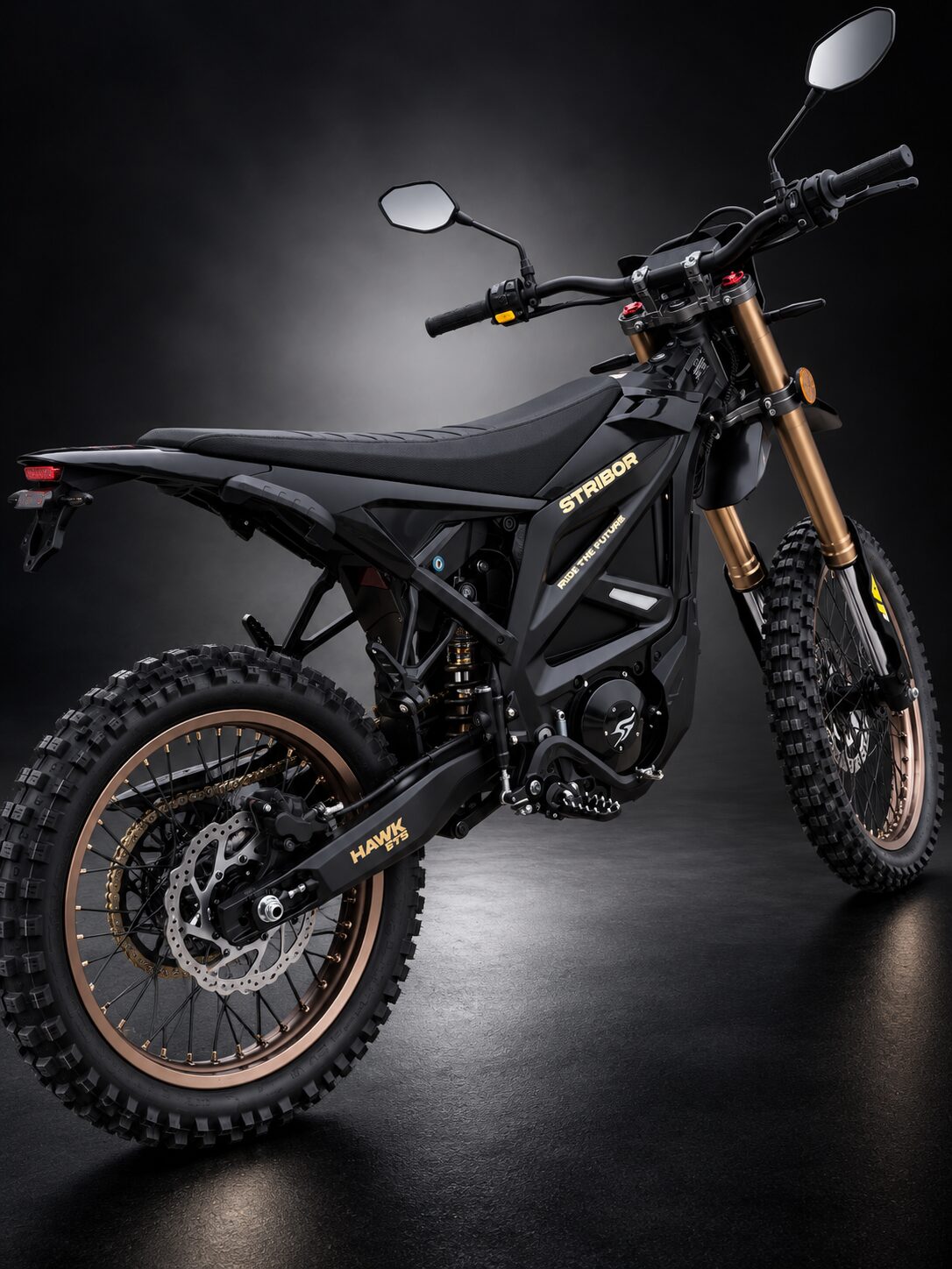 Stribor HAWK ET9 27 kW a 115 km/h 72V/60Ah . Homologizovaná verzia L3e. – Obrázok 7